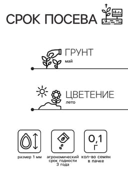 Семена Цветов Иберис зонтичный «Гранатовый лед», 0.1 г, «ПОИСК»