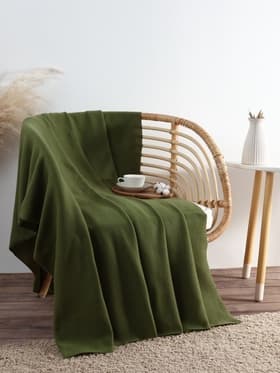 Плед флисовый «Экономь и Я», 150×180 см, 160 г/м², зелёный