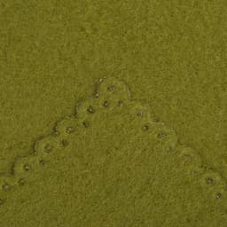 Плед флисовый «Экономь и Я», 150×180 см, 160 г/м², зелёный