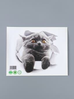 Интерьерная наклейка 3Д TAKE IT EASY «Кошка шотландская», на стену, 25×23 см, влагостойкая, ПВХ