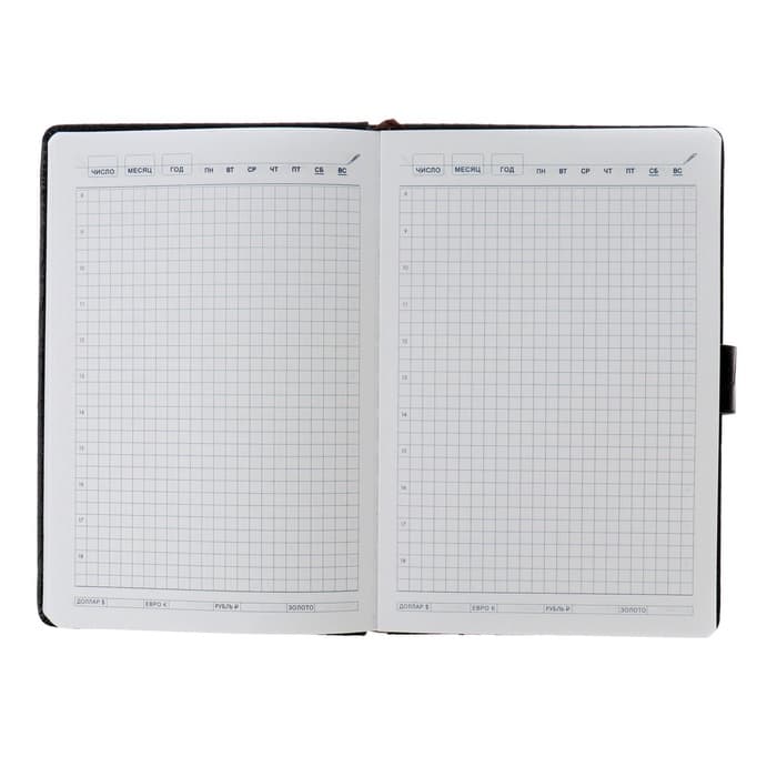 Ежедневник недатированный А5, 140 листов в клетку, с хлястиком, обложка кожзам, МИКС