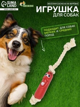 Игрушка для собак «Весёлая сосиска на верёвке», 14 см