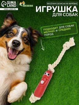 Игрушка для собак «Весёлая сосиска на верёвке», 14 см