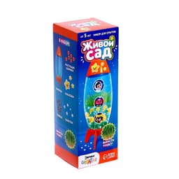 Набор для опытов «Живой сад: Ракета», вырасти травку, МИКС