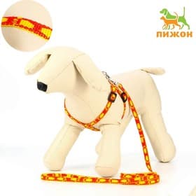 Комплект «Большая лапа», ширина 1 см, поводок 120 см, шлейка 25-36 см, оранжево-жёлтый