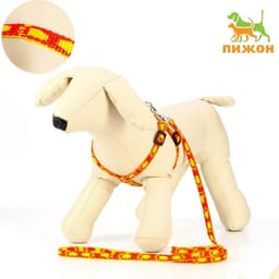 Шлейка с поводком «Большая лапа», ширина 1 см, поводок 120 см, шлейка 25-36 см, оранжевая, жёлтая