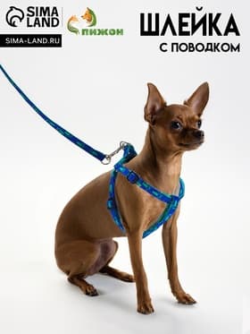 Комплект «Большая лапа», ширина 1 см, поводок 120 см, шлейка 25-36 см, сине-зелёный