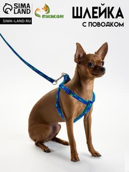 Комплект «Большая лапа», ширина 1 см, поводок 120 см, шлейка 25-36 см, сине-зелёный