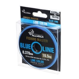 Леска монофильная ALLVEGA Fishing Master, диаметр 0.370 мм, тест 10.5 кг, 30 м, голубая