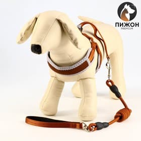 Шлейка с поводком, размер M, ОШ 32-72 см, ОГ 32-72 см, поводок 120×1.5 см, мягкая, с вертлюгом, коричневая