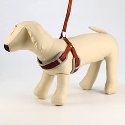 Шлейка с поводком, размер M, ОШ 32-72 см, ОГ 32-72 см, поводок 120×1.5 см, мягкая, с вертлюгом, коричневая