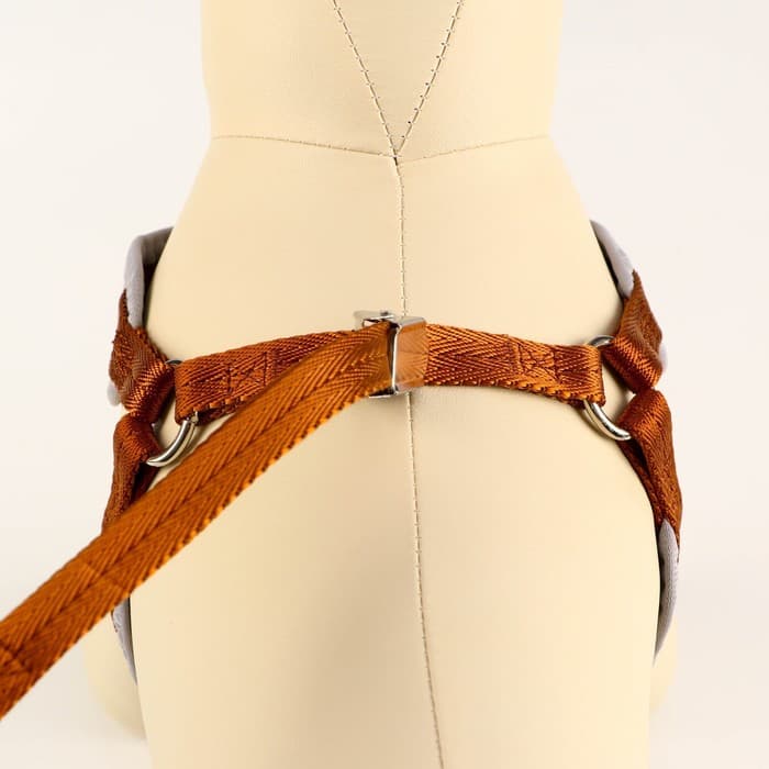 Шлейка с поводком, размер M, ОШ 32-72 см, ОГ 32-72 см, поводок 120×1.5 см, мягкая, с вертлюгом, коричневая