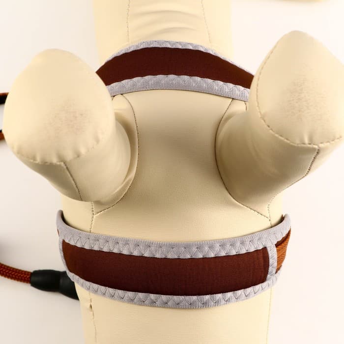 Шлейка с поводком, размер M, ОШ 32-72 см, ОГ 32-72 см, поводок 120×1.5 см, мягкая, с вертлюгом, коричневая