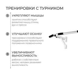 Турник настенный Aktiv, цвет белый