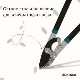 Сучкорез, профессиональный, 31" (79 см), МИКС, Greengo