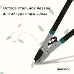 Сучкорез контактный, 31" (79 см), с наковальней, с пластиковыми ручками, МИКС, Greengo