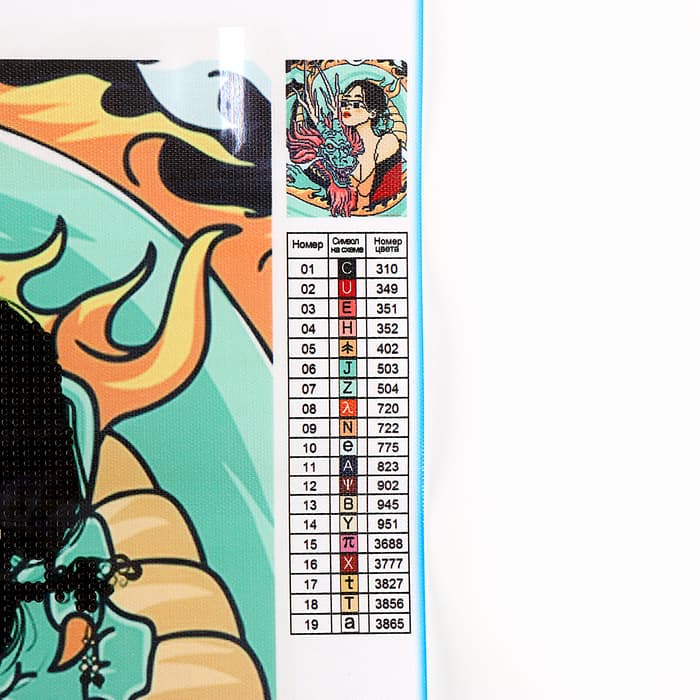 Алмазная мозаика с частичным заполнением «Девушка с драконом» без рамы 30×40 см