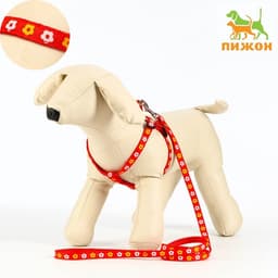 Шлейка с поводком «Цветы», ОГ 23-35 см, ширина 1 см, поводок 120 см, прошитая, красная