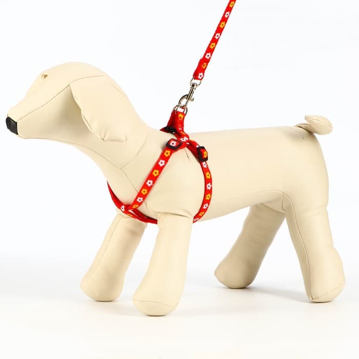 Шлейка с поводком «Цветы», ОГ 23-35 см, ширина 1 см, поводок 120 см, прошитая, красная