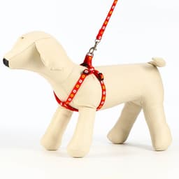 Шлейка с поводком «Цветы», ОГ 23-35 см, ширина 1 см, поводок 120 см, прошитая, красная