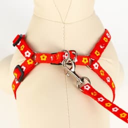 Шлейка с поводком «Цветы», ОГ 23-35 см, ширина 1 см, поводок 120 см, прошитая, красная