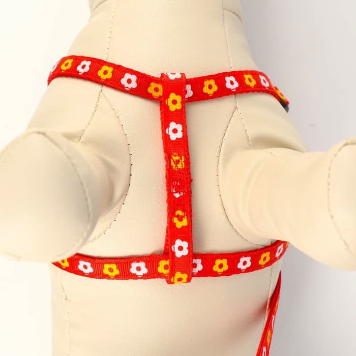 Шлейка с поводком «Цветы», ОГ 23-35 см, ширина 1 см, поводок 120 см, прошитая, красная