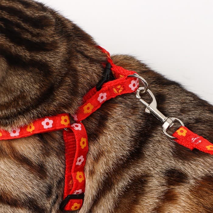 Шлейка с поводком «Цветы», ОГ 23-35 см, ширина 1 см, поводок 120 см, прошитая, красная