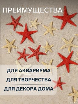Набор натуральных морских звезд, 1.5 - 2.5 см, 20 шт., красные - белые