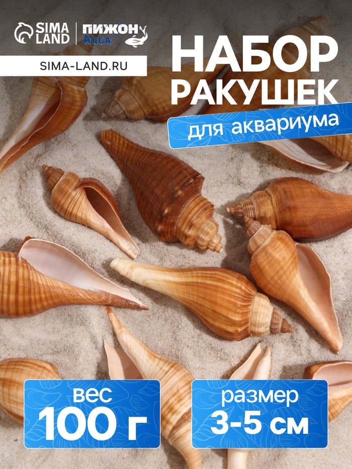 Набор ракушек, 3 - 5 см, 100 г