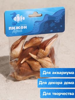 Набор ракушек, 3 - 5 см, 100 г