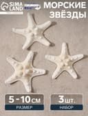 Набор из 3 морских звезд, размер каждой 5-10 см, белые
