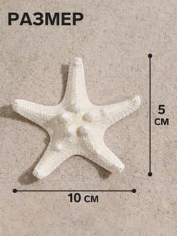 Набор из 3 морских звезд, размер каждой 5-10 см, белые