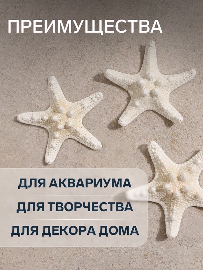 Набор из 3 морских звезд, размер каждой 5-10 см, белые