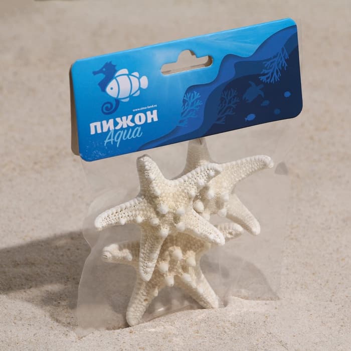 Набор из 3 морских звезд, размер каждой 5-10 см, белые