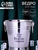 Ведро для льда «Веселье в шампанском», 2300 мл