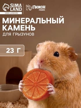 Минеральный камень «Пижон» для грызунов, апельсин, 23 г