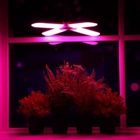 Фитолампа для растений, светодиодная, E27, 32 Вт, IP20, 220 В, 180°, четырёхлепестковая, складная, мультиспектральная