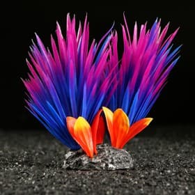 Растение для аквариума и террариума, 18×10×11.5 см, красно-фиолетовый