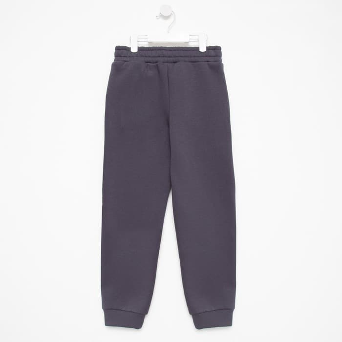 Костюм для мальчика с начёсом: худи, брюки, MINAKU: Basic Line KIDS, серый, рост 110 см