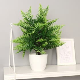 Искусственный цветок в горшке «Морковник», 9×30 см, кашпо h=8.5 см, d=9 см