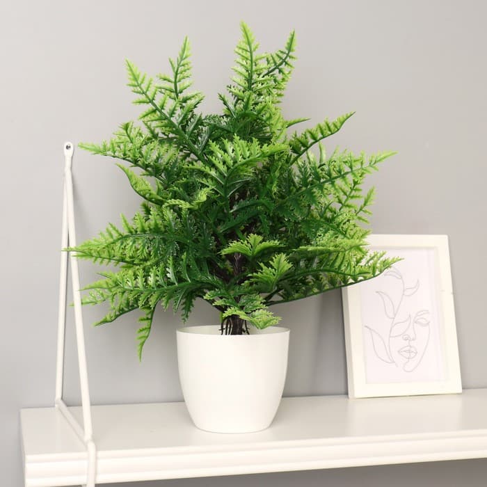 Искусственный цветок в горшке «Морковник», 9×30 см, кашпо h=8.5 см, d=9 см