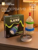 Презервативы «Luxe» Maxima Гавайский кактус, 1 шт.