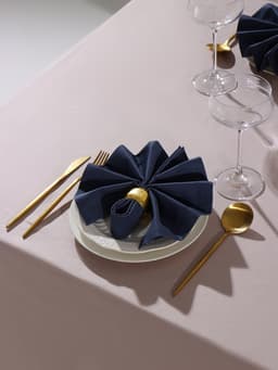 Набор салфеток с декоративными кольцами «Этель» Grey pleasure, 40×40 см - 2 шт., 100% хлопок, саржа 190 г/м²