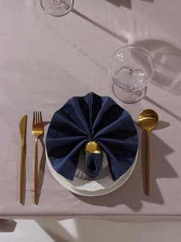 Набор салфеток с декоративными кольцами «Этель» Grey pleasure, 40×40 см - 2 шт., 100% хлопок, саржа 190 г/м²