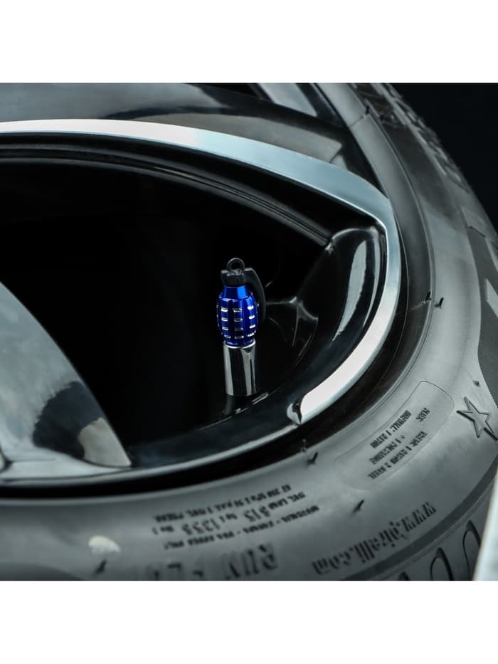 Колпачок на вентиль TORSO, граната, синий, набор 4 шт.