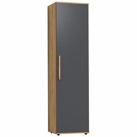 Шкаф - пенал Crown 8, 560×400×2113 мм, цвет дуб золотистый/графит