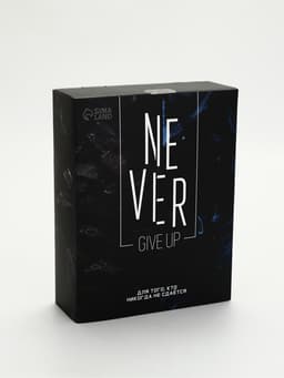 Подарочный набор туристический Never give up, термос 500 мл, кружка 3 шт.