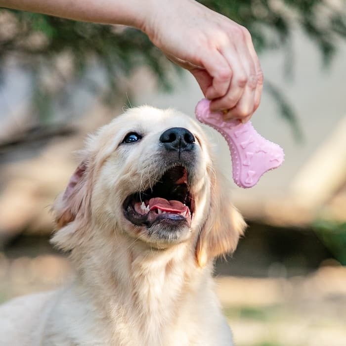 Плавающая игрушка для собак Пижон Premium «Косточки», 10.5×5.5×2 см, вспененный TPR, розовая