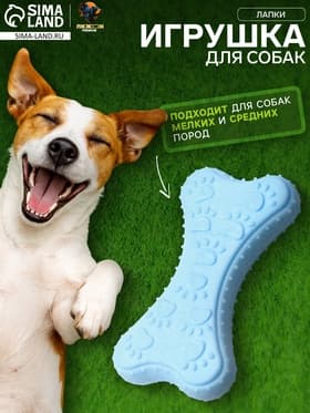 Плавающая игрушка для собак Пижон Premium «Лапки», 10.5×5.5×2 см, вспененный TPR, голубая