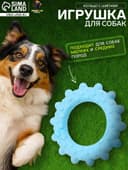 Плавающая игрушка для собак Пижон Premium «Кольцо с шипами», 8 см, вспененный TPR, голубая